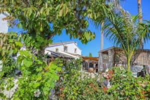 Foto van Villa in Jesús Pobre – afbeelding 40