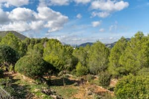 Foto van Villa in Lliber – afbeelding 33