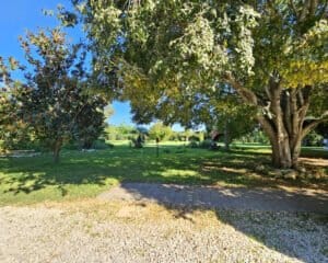 Foto van Villa in Ondara o – afbeelding 32