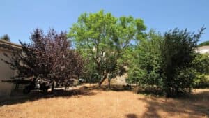 Foto van Villa in Parcent – afbeelding 25