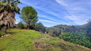 Foto van Villa in Parcent – afbeelding 4