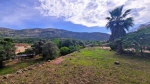 Foto van Villa in Parcent – afbeelding 5