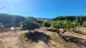 Foto van Villa in Pedreguer – afbeelding 12