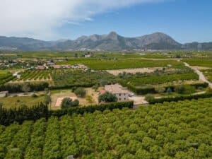 Foto van Villa in Benidoleig – afbeelding 6