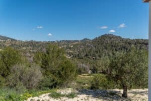 Foto van Finca in Benissa – afbeelding 29