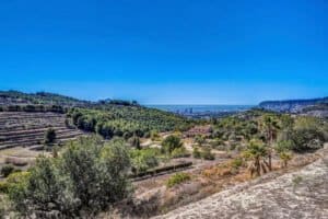 Foto van Finca in Benissa – afbeelding 43