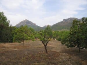 Foto van Finca in La Nucia Centro – afbeelding 3