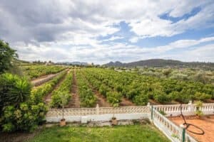 Foto van Dorpshuis in Pedreguer Monte Pedreguer – afbeelding 18