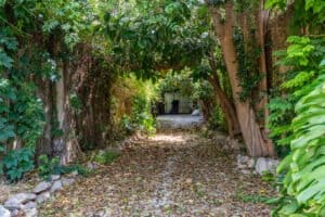 Foto van Dorpshuis in Alcalalí – afbeelding 23