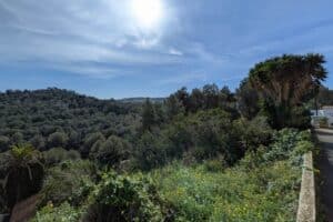 Foto van Perceel in Javea Sol del Este – afbeelding 7