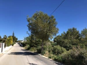 Foto van Perceel in Jávea Costa Nova – afbeelding 4