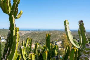 Foto van Villa in Benitachell Cumbre del Sol – afbeelding 4