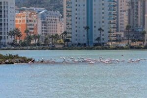 Foto van Villa in Calpe La Calalga – afbeelding 26