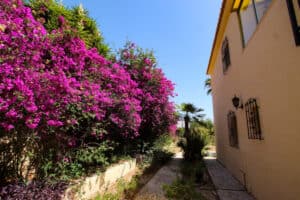 Foto van Villa in Calpe – afbeelding 24