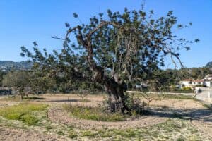 Foto van Villa in Javea Las Laderas – afbeelding 41