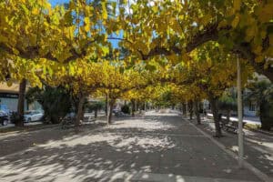 Foto van Appartement in Moraira Pueblo Alcasar – afbeelding 17