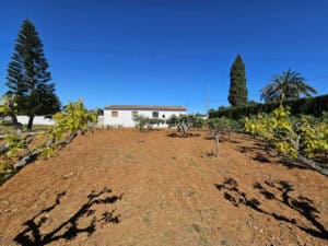 Foto van Finca in Denia – afbeelding 29