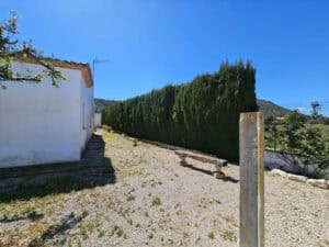 Foto van Finca in Denia – afbeelding 31