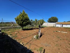 Foto van Finca in Denia – afbeelding 42