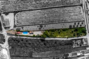 Foto van Finca in Teulada – afbeelding 33