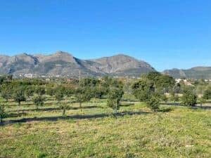 Foto van Villa in Benidoleig – afbeelding 17