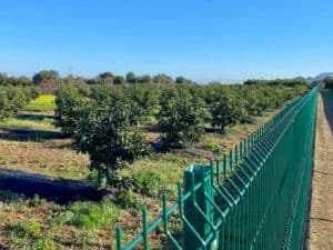 Foto van Villa in Benidoleig – afbeelding 19