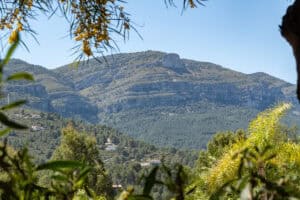 Foto van Villa in Benigembla – afbeelding 41