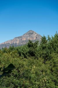 Foto van Villa in Jávea Puerta Fenicia – afbeelding 42