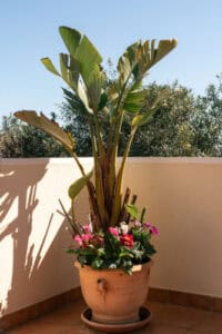 Foto van Villa in Jávea Puerta Fenicia – afbeelding 47