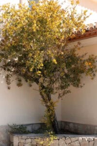 Foto van Villa in Jávea Puerta Fenicia – afbeelding 80