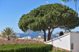 Foto van Villa in Moraira – afbeelding 28