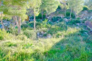 Foto van Villa in Pedreguer Monte Solana – afbeelding 15