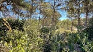Foto van Perceel in Javea La Cala – afbeelding 2