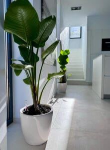 Foto van Villa in Calpe – afbeelding 18