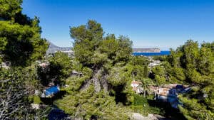 Foto van Villa in Javea – afbeelding 40