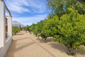 Foto van Villa in Javea – afbeelding 4