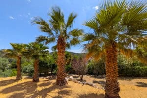 Foto van Villa in Javea – afbeelding 37