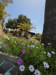 Foto van Villa in Javea – afbeelding 32