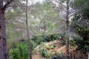 Foto van Villa in Javea Montgo – afbeelding 37