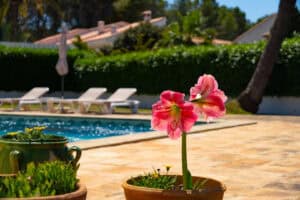 Foto van Villa in Moraira – afbeelding 7
