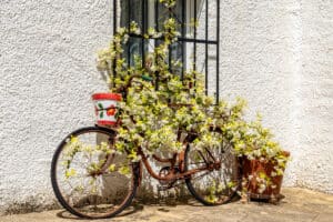 Foto van Villa in Orba – afbeelding 29