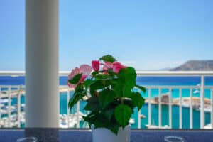 Foto van Appartement in Calpe Port – afbeelding 8