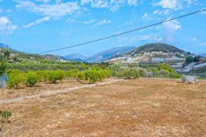 Foto van Finca in La Nucia – afbeelding 33