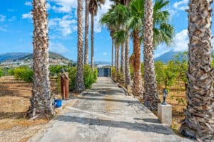 Foto van Finca in La Nucia – afbeelding 45