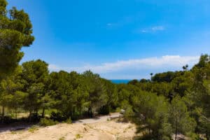 Foto van Perceel in Javea Portichol – afbeelding 2
