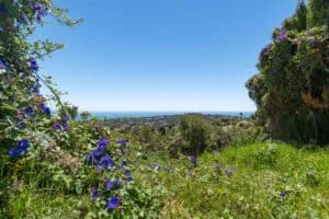 Foto van Perceel in Moraira Benimeit – afbeelding 0