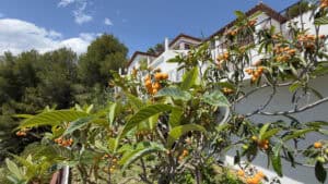 Foto van Villa in Altea – afbeelding 34