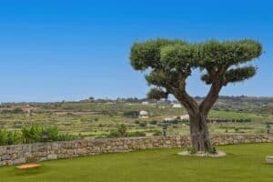 Foto van Finca in Benissa Berdica – afbeelding 47
