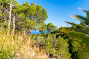 Foto van Perceel in Altea – afbeelding 1
