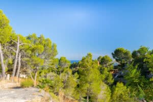 Foto van Perceel in Altea – afbeelding 6